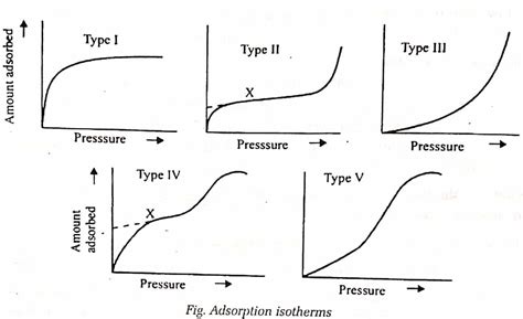 isotherm forhandler|Isotherm .